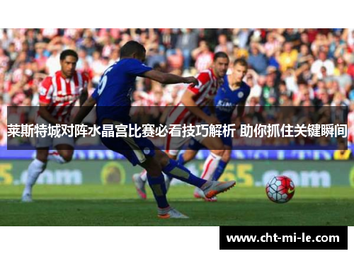 莱斯特城对阵水晶宫比赛必看技巧解析 助你抓住关键瞬间 莱斯特城对阵水晶宫比赛必看技巧解析 助你抓住关键瞬间