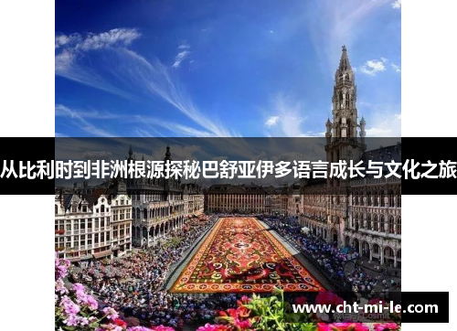 从比利时到非洲根源探秘巴舒亚伊多语言成长与文化之旅