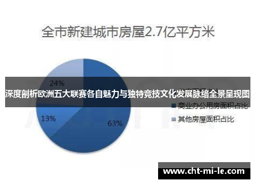 深度剖析欧洲五大联赛各自魅力与独特竞技文化发展脉络全景呈现图